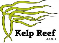 Kelp Reef Adventures