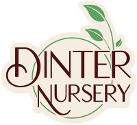 Dinter Nursery